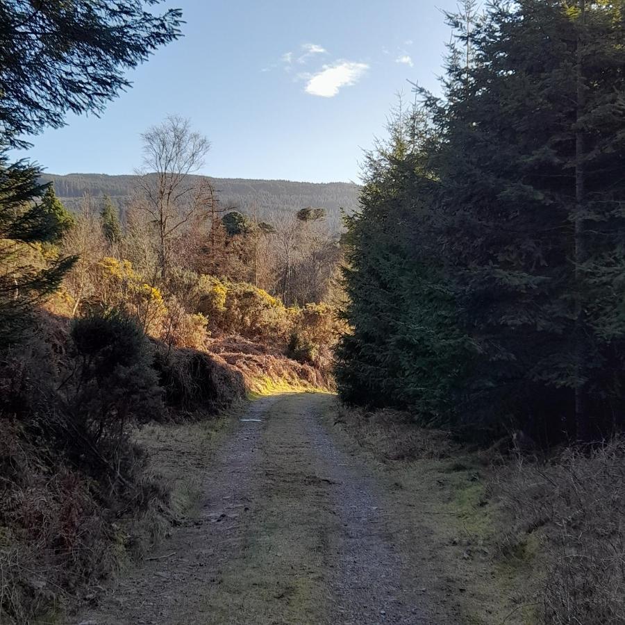 Shadowvale E34X773 Bed and Breakfast Tipperary Buitenkant foto